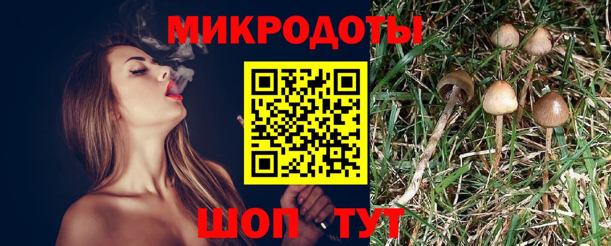 Галлюциногенные грибы Psilocybe  Галлюциногенные грибы Psilocybe  Кулебаки  Вход с VPN 